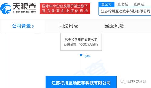 蘇寧控股布局?jǐn)?shù)字文化新領(lǐng)域 檸川互動(dòng)數(shù)字公司成立，拓展健身休閑與數(shù)字文創(chuàng)